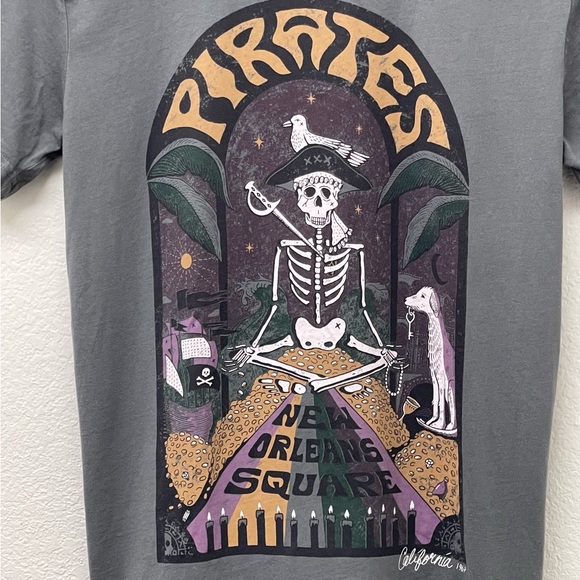 DISNEY INSPIRED Subtle Dust Graphic Pirates of the Caribbean Tee Size Small - Picture 3 of 4